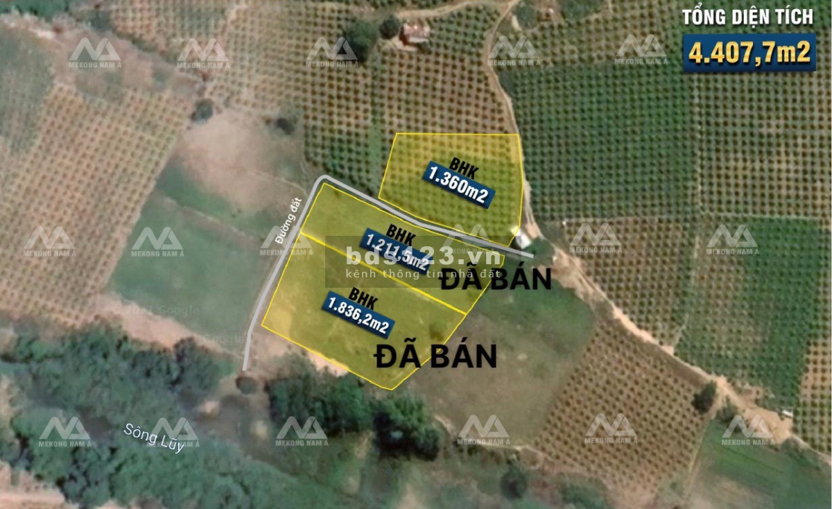 Cần ra lô đất trồng cây ngay Chợ Lầu đường lớn, bàn giao đầy đủ giấy tờ