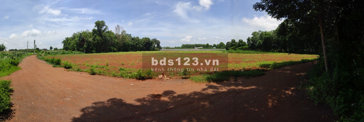 Đất biệt thự nhà vườn - Bà Rịa sổ sẵn chính chủ, liên hệ 0795261606