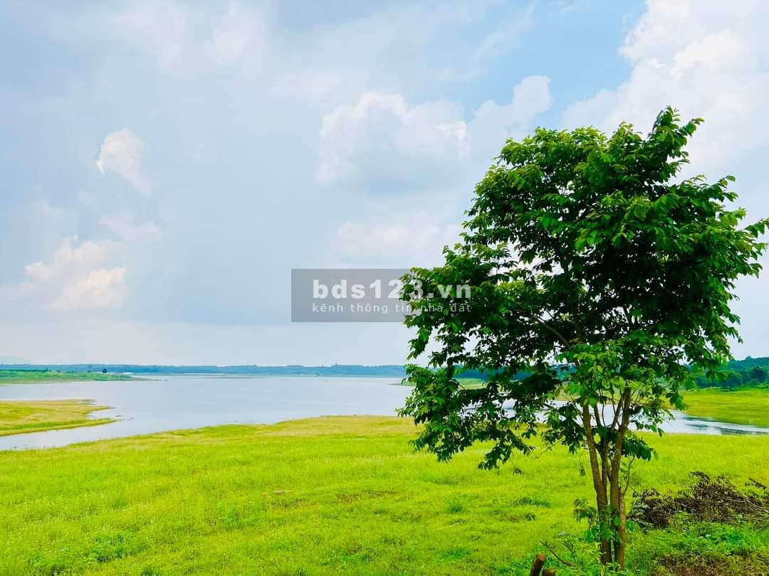 Đang cần tiền để kinh doanh nên cần nhượng lại lô đất 1000m2 ,View hồ thơ mộng