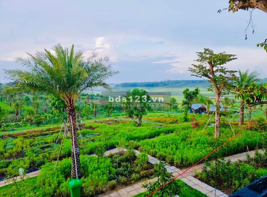 Đang cần tiền để kinh doanh nên cần nhượng lại lô đất 1000m2 ,View hồ thơ mộng