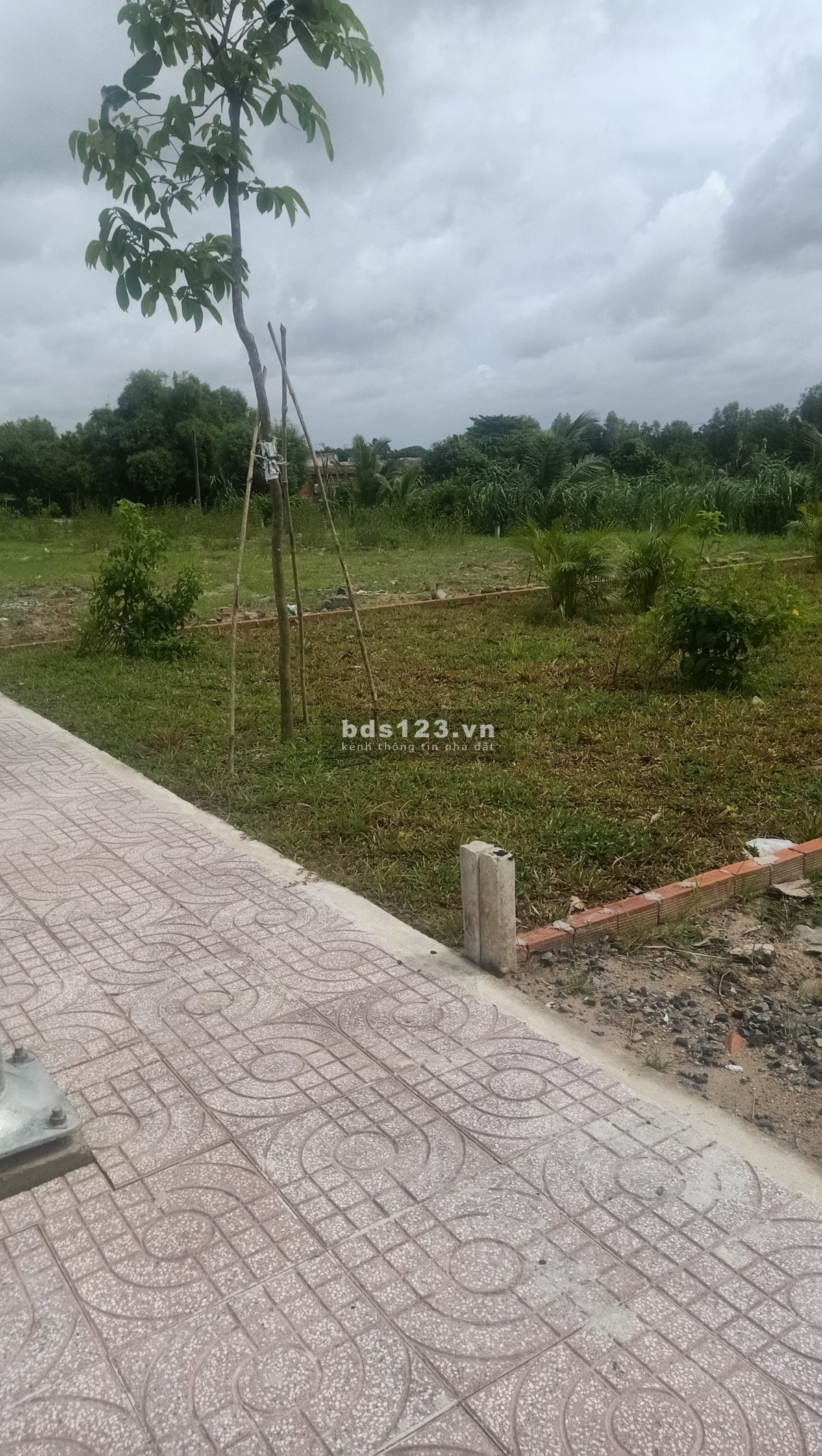Bán đất khu vực Củ Chi, ngân hàng hỗ trợ vay khu dân cư đông