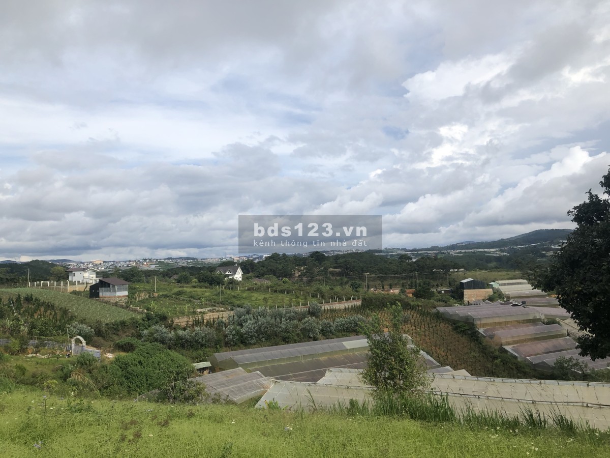 Bán đất nghỉ dưỡng Măng Lin phường 7 Đà Lạt view siêu đẹp