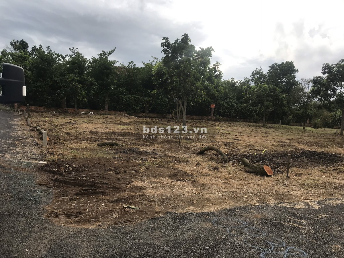 Đất thổ cư Bảo Lâm, Lâm Đồng chính chủ giá rẻ pháp lý chính chủ