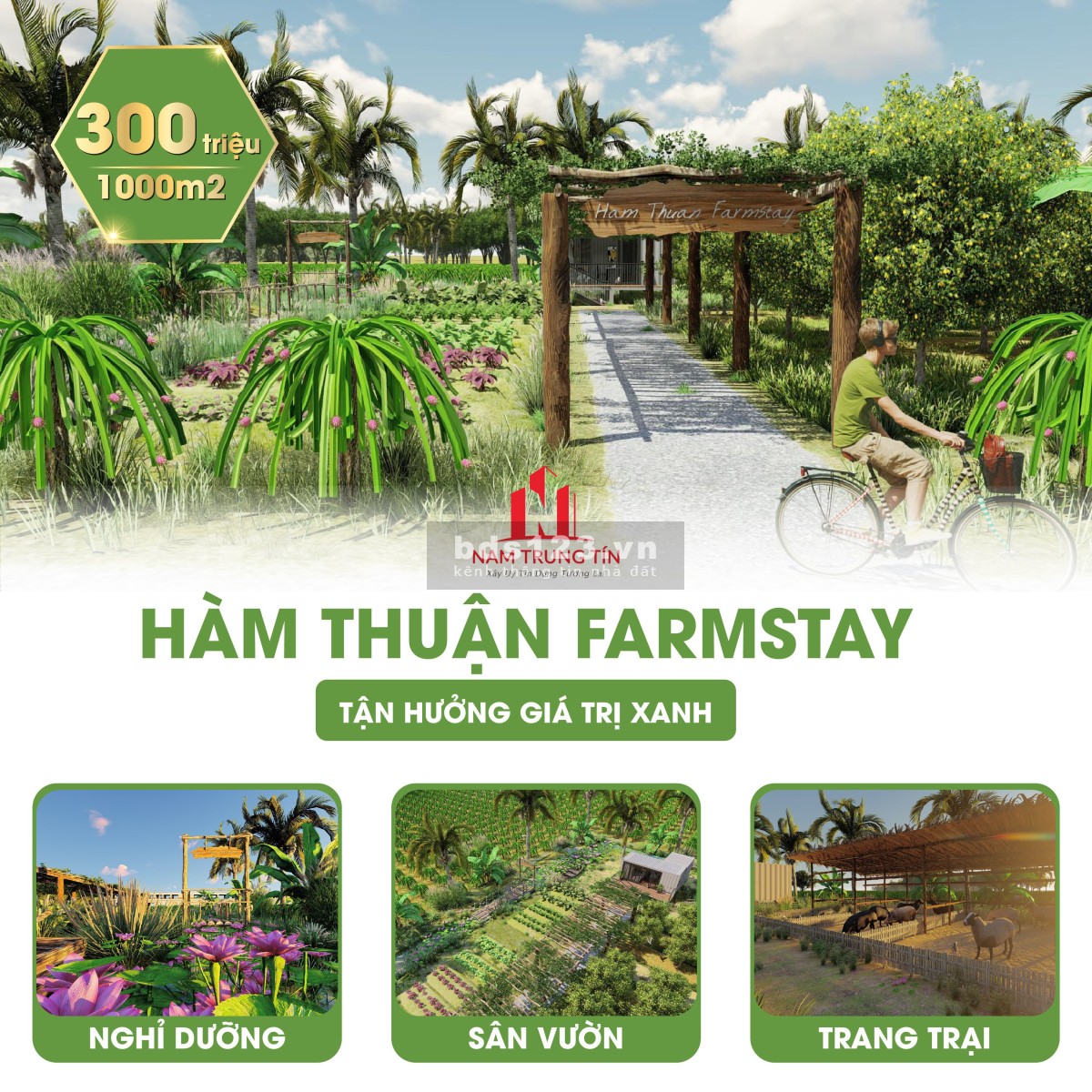 Hàm Thuận Farmstay mặt tiền đường lớn, giá 300 nghìn/m2, sổ sẵn chính chủ