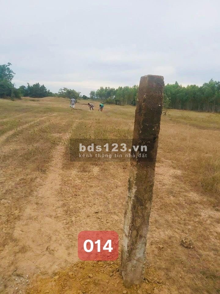 Duy Nhất 1 Lô 2ha, Sông Lũy Bắc Bình - Bình Thuận liên hệ 0949500786