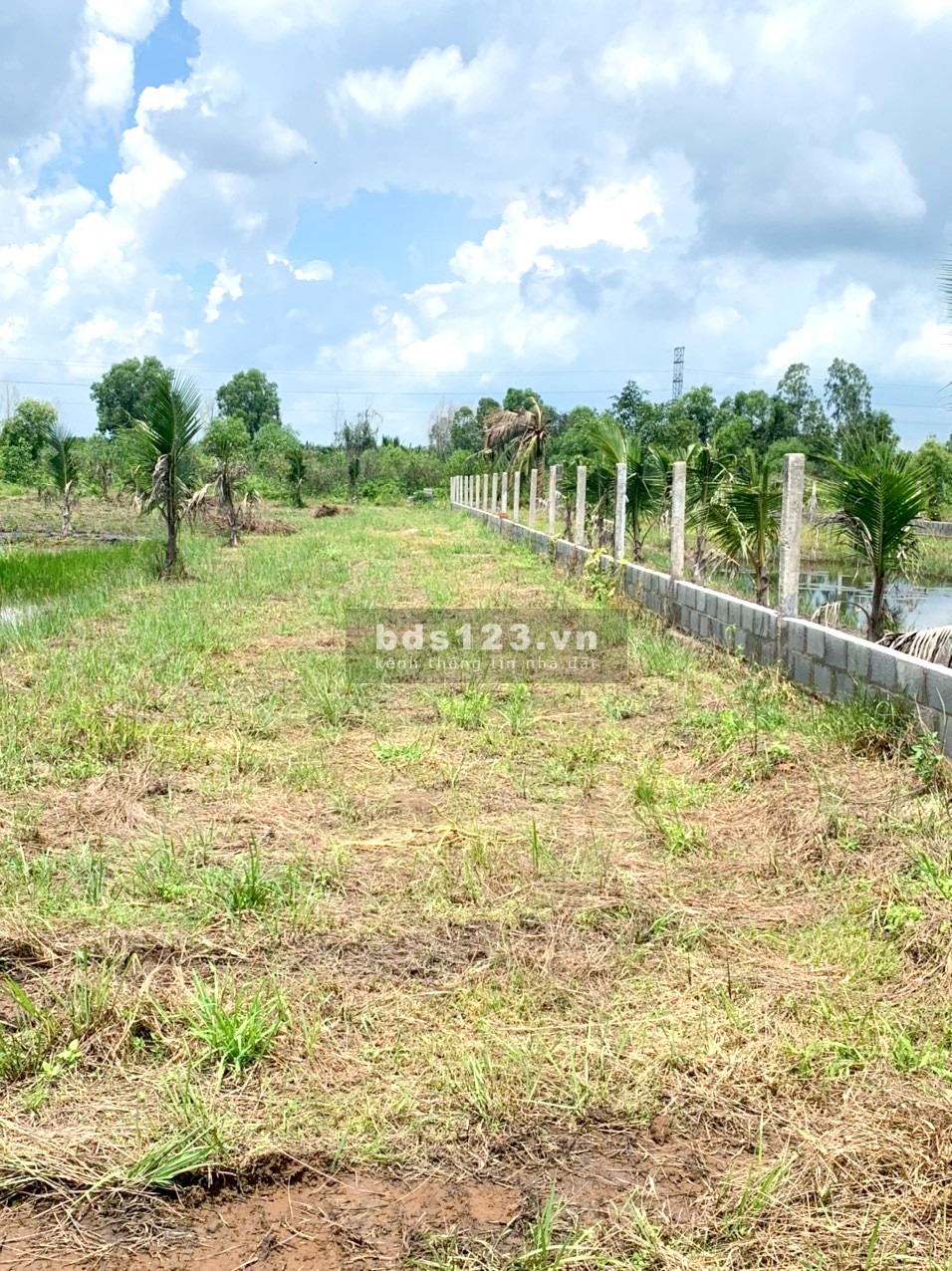 1000m2 đất sổ sẳn giá 1,19 tỷ, đất nằm bên tuyến QL1A cách Q1,TPHCM chỉ 40km