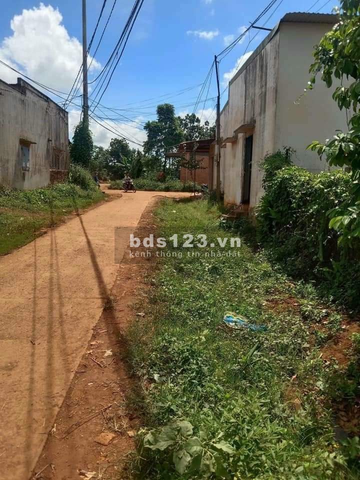 Vợ chồng tôi cần tiền cho con đi du học nên cần bán gấp lô đất 2300m2 giá 650tr