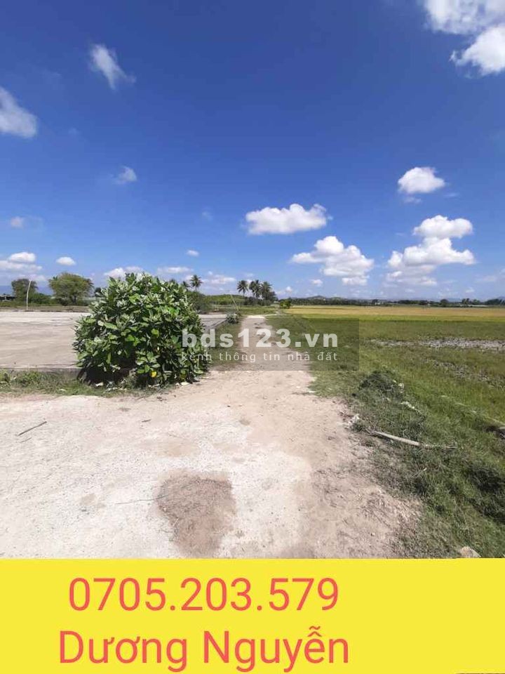 Đất lúa khu phố 1 Đô Vinh chính chủ diện tích 512m2 sổ riêng từng lô