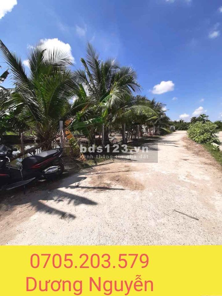 Đất lúa khu phố 1 Đô Vinh chính chủ diện tích 512m2 sổ riêng từng lô