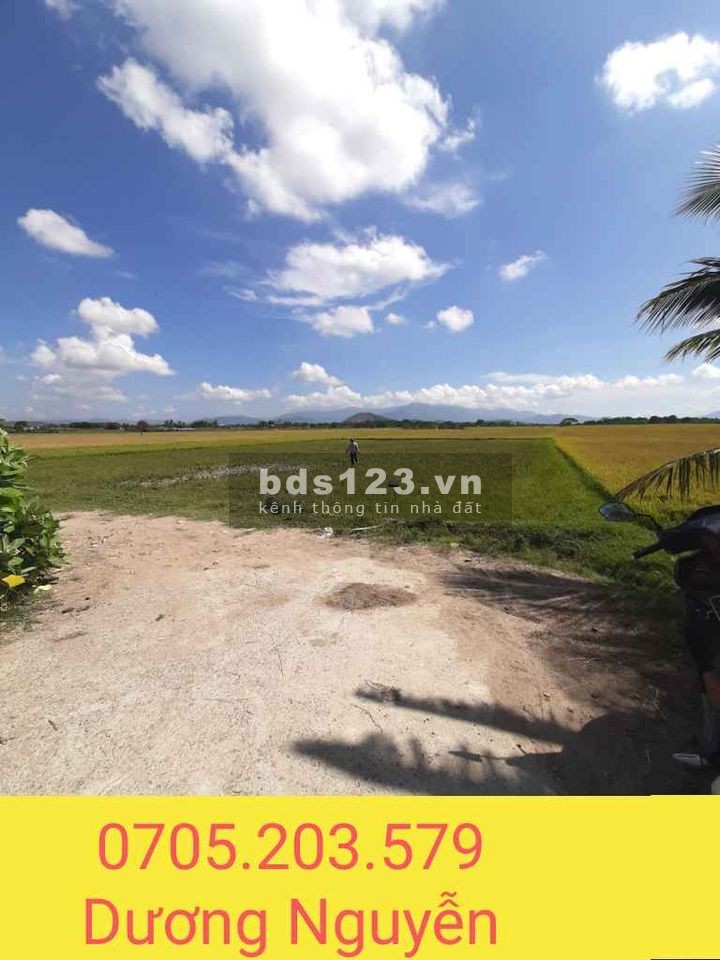Đất lúa khu phố 1 Đô Vinh chính chủ diện tích 512m2 sổ riêng từng lô