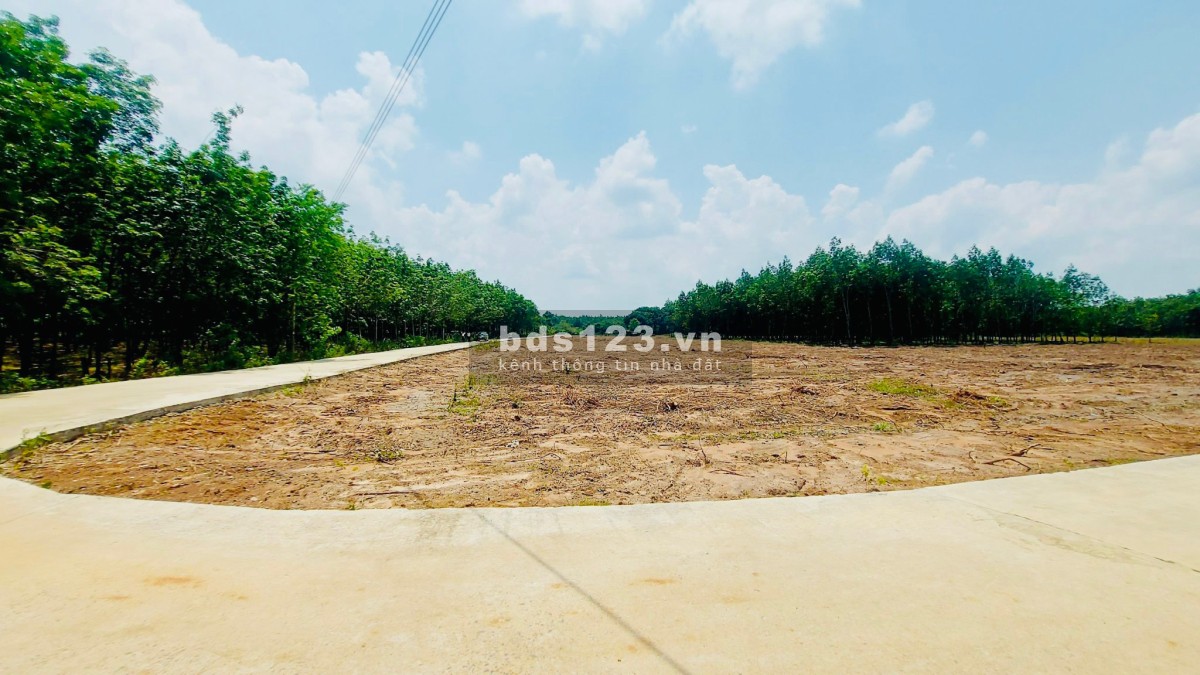 Bán đất nền sổ hồng riêng bình phước chỉ 670 triệu sổ hồng hoàn thiện