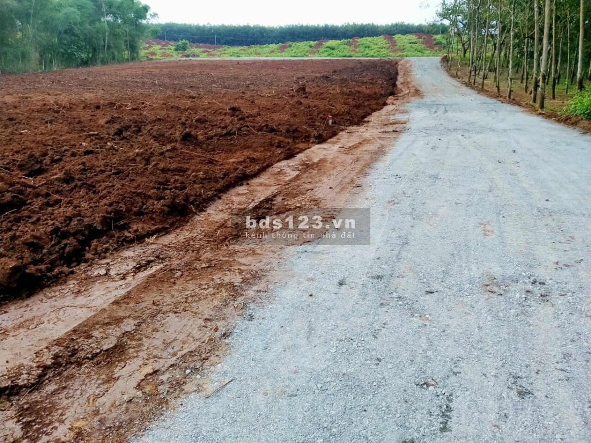 Bán đất sào giá rẻ bao tách so lên thổ cư thoải mái liên hệ 0822405111