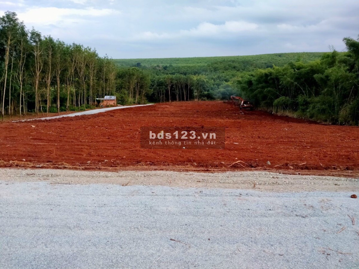Bán đất sào giá rẻ bao tách so lên thổ cư thoải mái liên hệ 0822405111