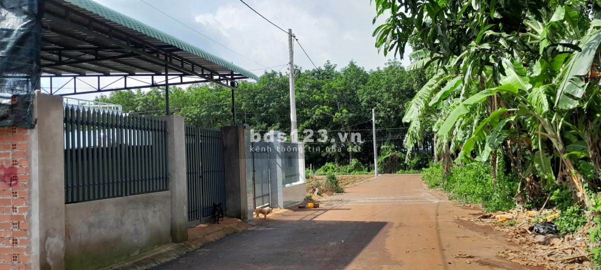 Long Phước đường 79A tp Bà Rịa dt 422m2 (10x42m) thổ cư khu dân cư sầm uất chỉ 2.75 tỷ