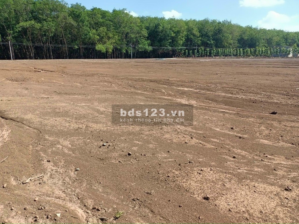 Đất nền sổ sẵn Tân Quan Hớn Quản Bình Phước giá đầu tư sinh lời