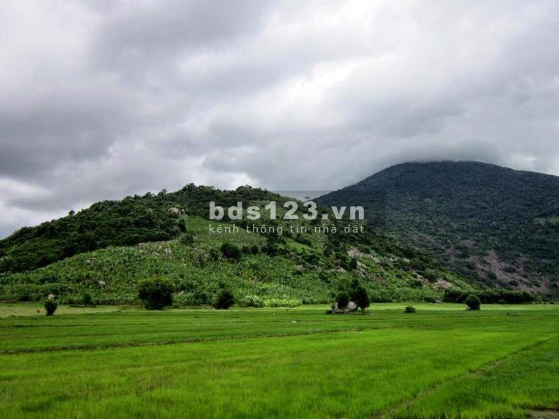 4000m2 đất view núi Bà, đất cao không khí trong lành, thích hợp trồng rau nuôi cá