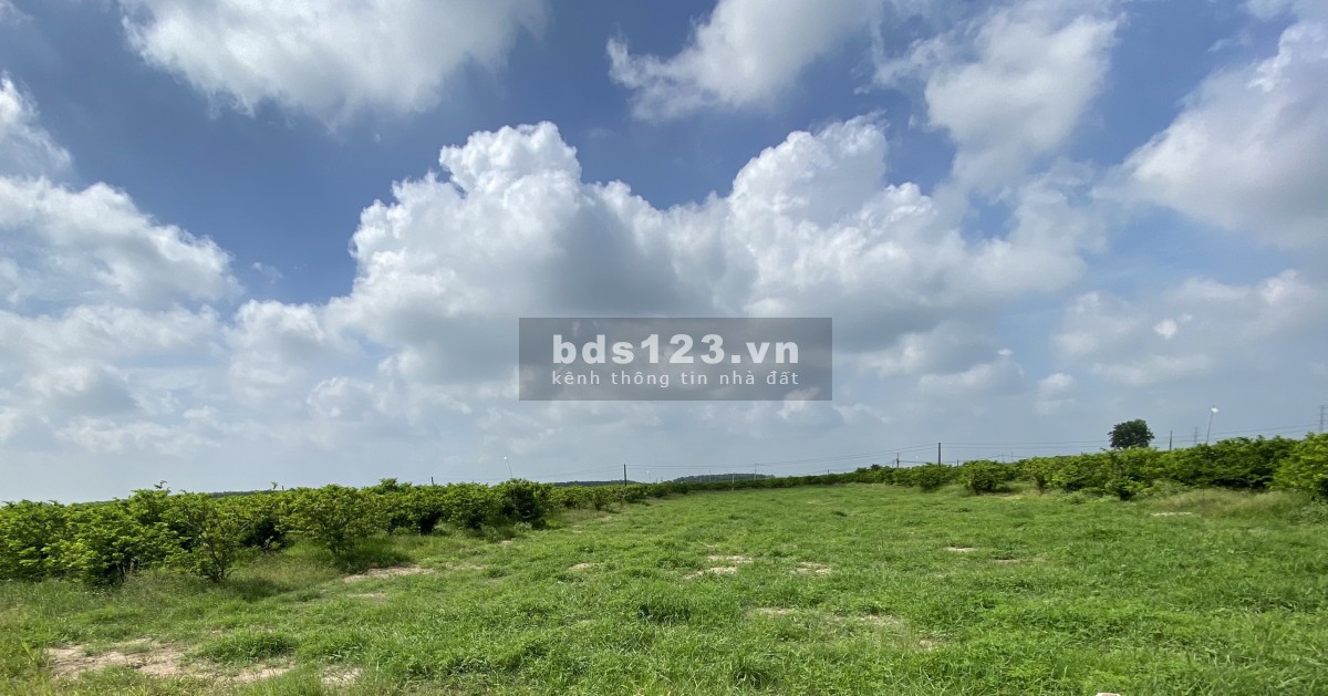 4000m2 đất view núi Bà, đất cao không khí trong lành, thích hợp trồng rau nuôi cá
