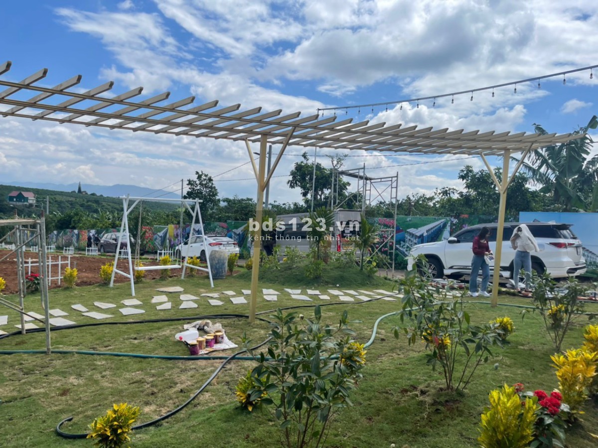 Siêu phẩm đất Bảo Lộc giá F0 chỉ từ 450 triệu/nền, giá tốt đầu tư