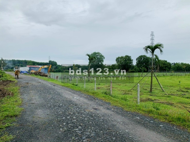 Cần bán gấp đất vườn 500m2 (110m2 thổ cư) đường Giáp Hải, Tân An Hội, giá 1.4 tỷ sổ hồng riêng