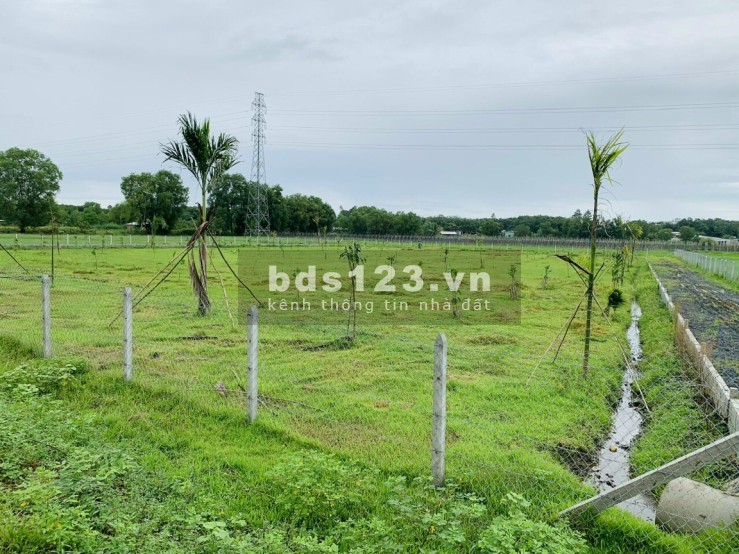 Cần bán gấp đất vườn 500m2 (110m2 thổ cư) đường Giáp Hải, Tân An Hội, giá 1.4 tỷ sổ hồng riêng