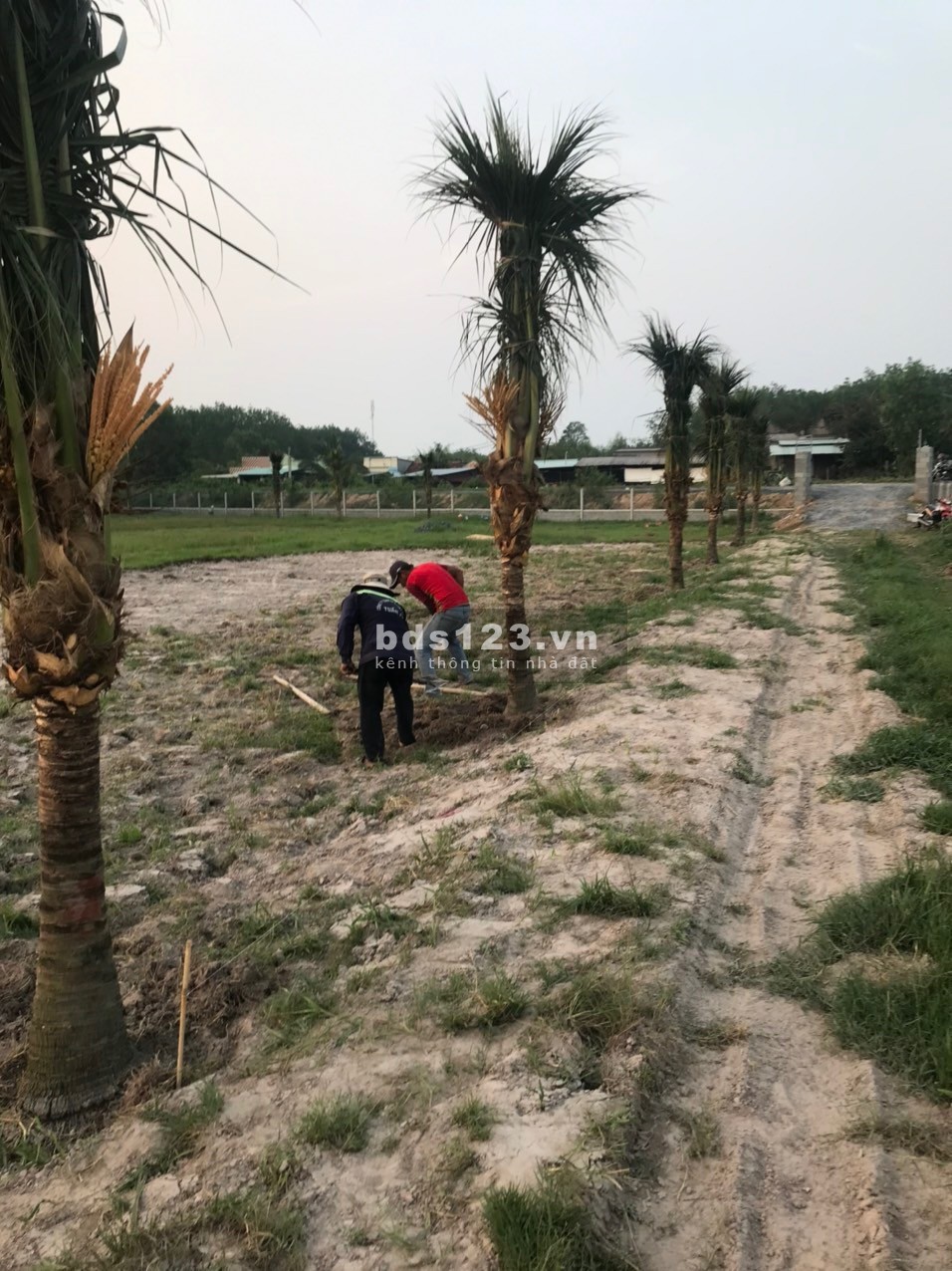 Đất gần kcn Tây Bắc sổ hồng riêng sang tên ngay, mặt tiền đường nhựa