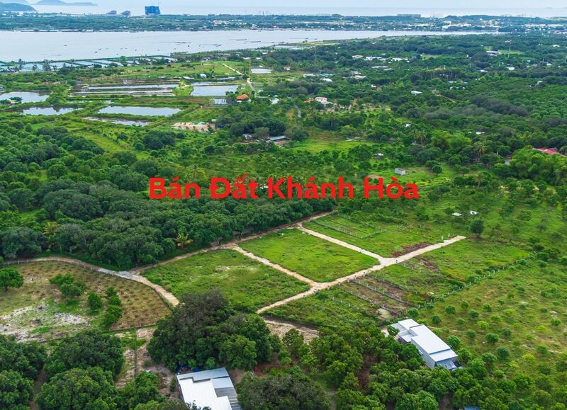 ban-dat-khanh-hoa-gia-tot-chinh-chu-co-so-rieng_1658371078.jpg Bán đất Khánh Hòa giá tốt, chính chủ có sổ riêng