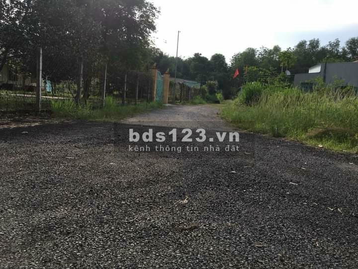 Chủ cần bán gấp lô đất full thổ 235m2, ngang 5 mét giá đầu tư sinh lời cao