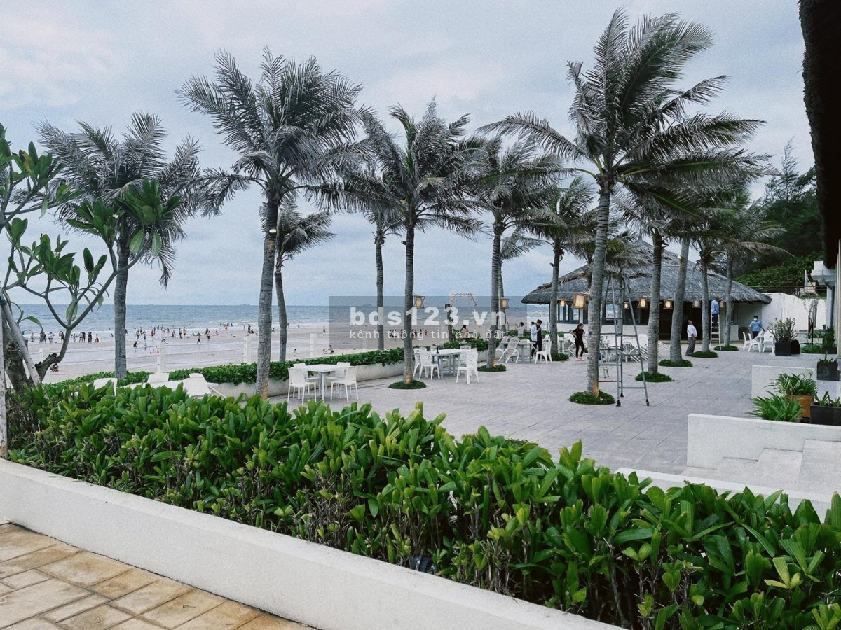 Nhận booking 10 suất nội bộ căn hộ view biển mặt tiền biển Chí Linh Vũng Tàu