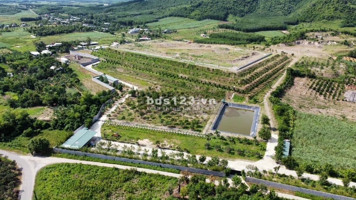 Cần tiền trả nợ ngân hàng bán mảnh đất tâm huyết đầu tư sinh lời