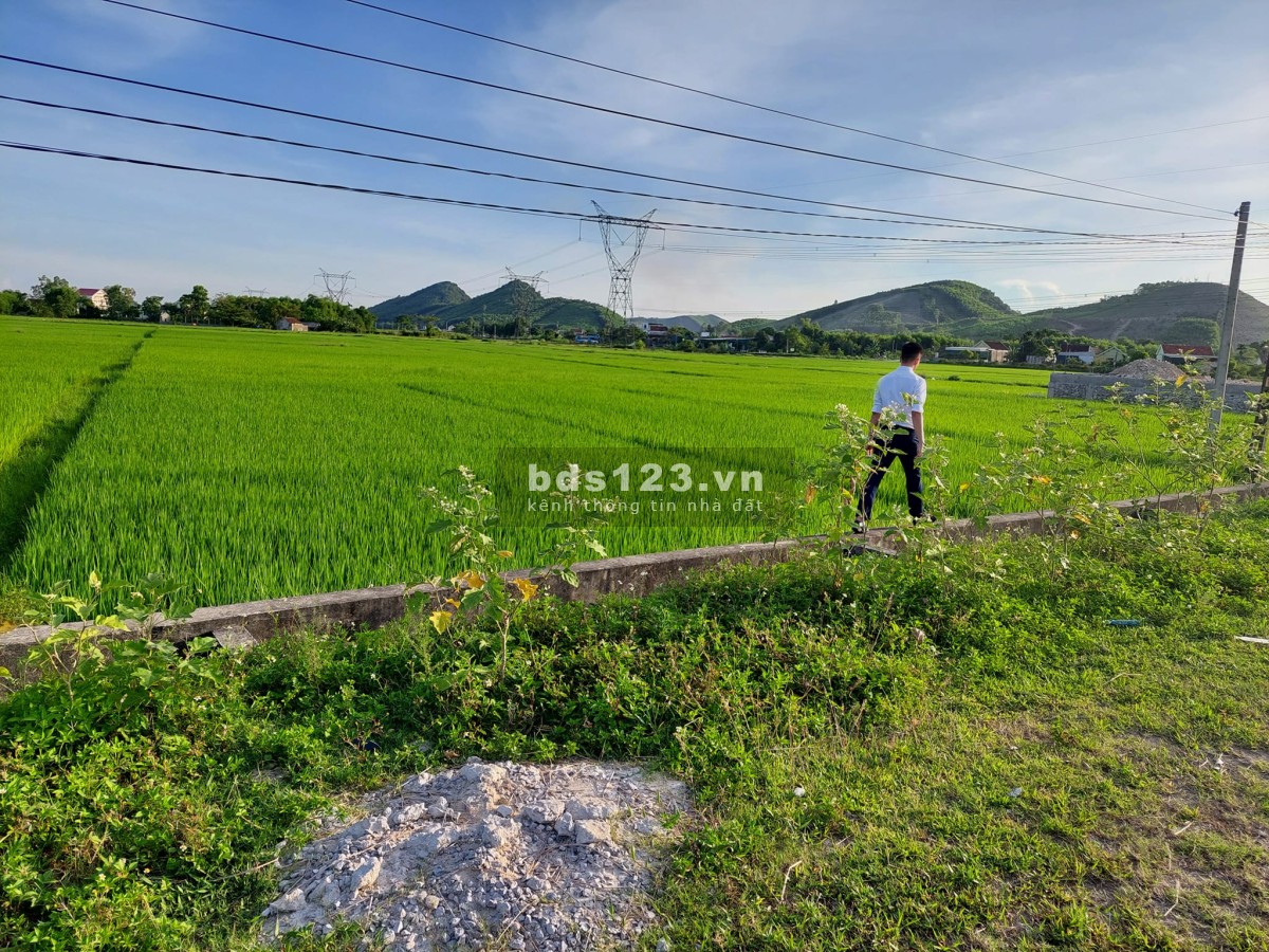 Cần tiền bán đất Yên Thành giá rẻ, pháp lý chuẩn, liên hệ 0359687404