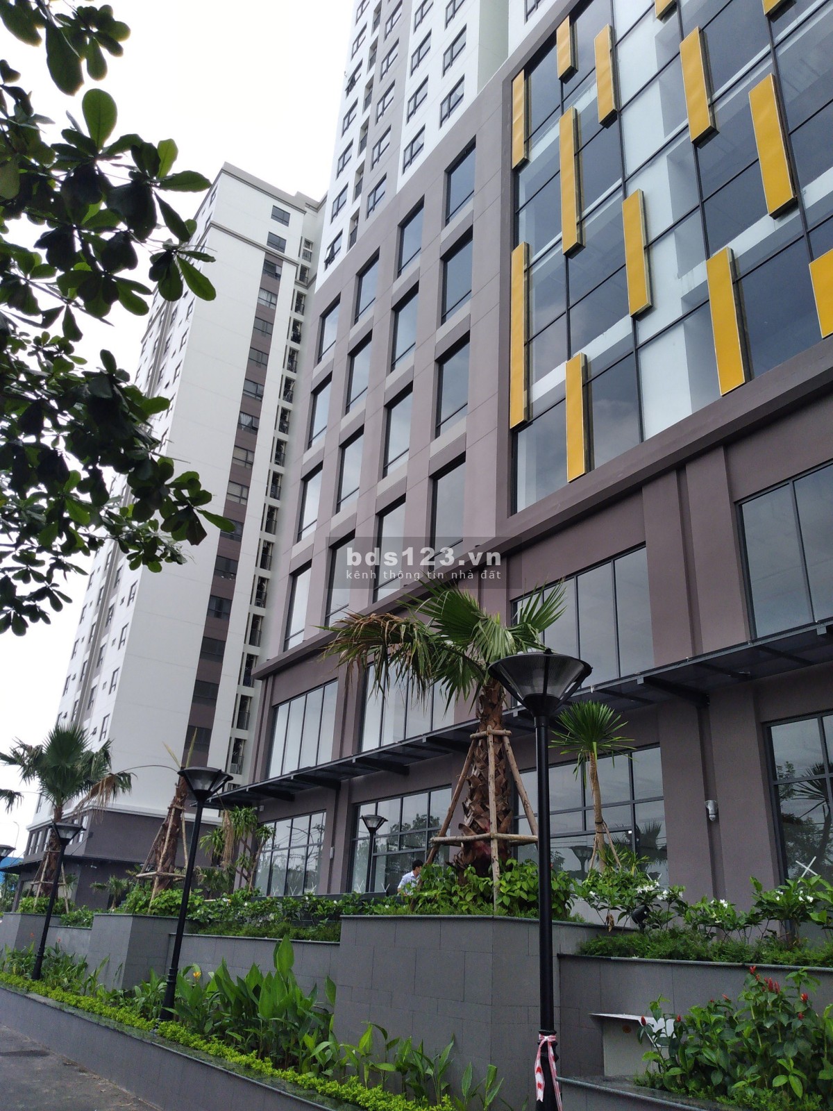 Chính chủ cho thuê sàn thương mại làm gym,game, Lớp học...tại Green River quận 8, TP Hồ Chí Minh.
