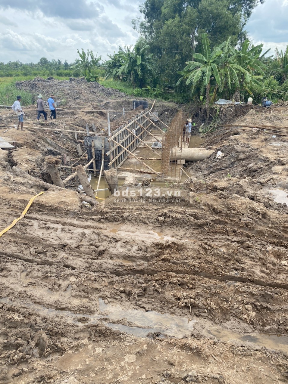 Bán đất hai lô đất liền kề khu vực Cái Tắc Long Thạnh Quốc Lộ 1A, giá tốt