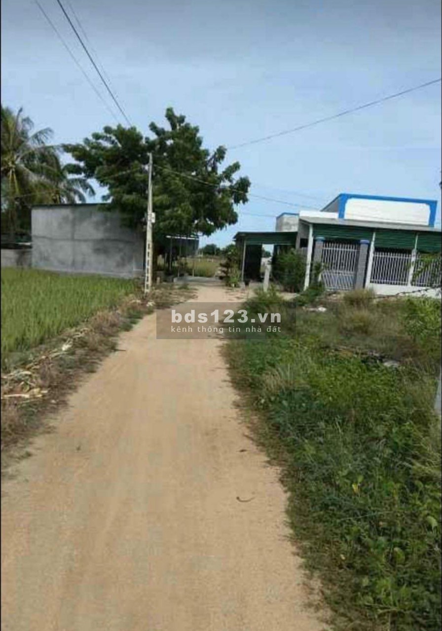 Cần bán lô đất Hẽm 300m2 Đường ô tô Trường Chinh P.Văn hải