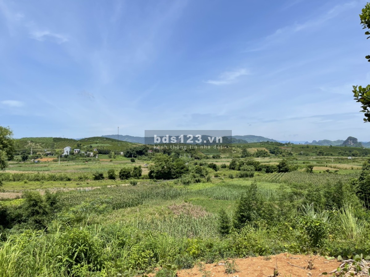 Cao Phong Hòa Bình dt 3000m/400m tc giá nhỉnh 2 tỷ, sẵn khuôn viên nhà sàn cây ăn quả 0982876689