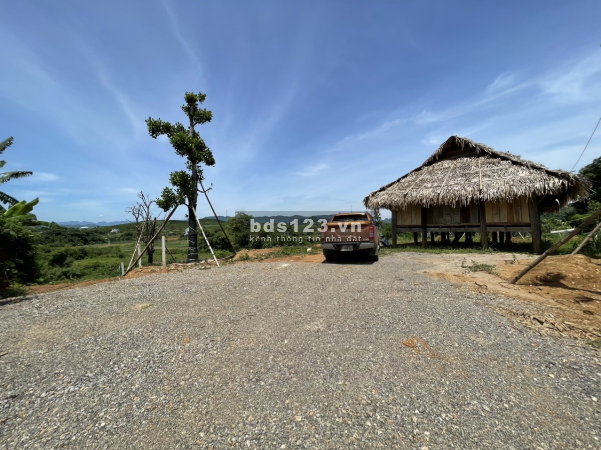 Cao Phong Hòa Bình dt 3000m/400m tc giá nhỉnh 2 tỷ, sẵn khuôn viên nhà sàn cây ăn quả 0982876689
