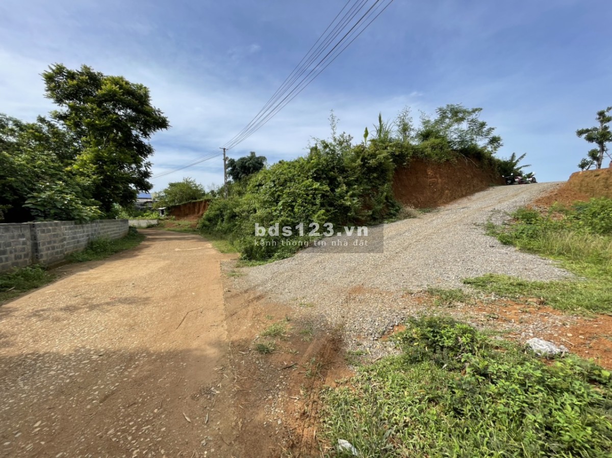 Cao Phong Hòa Bình dt 3000m/400m tc giá nhỉnh 2 tỷ, sẵn khuôn viên nhà sàn cây ăn quả 0982876689