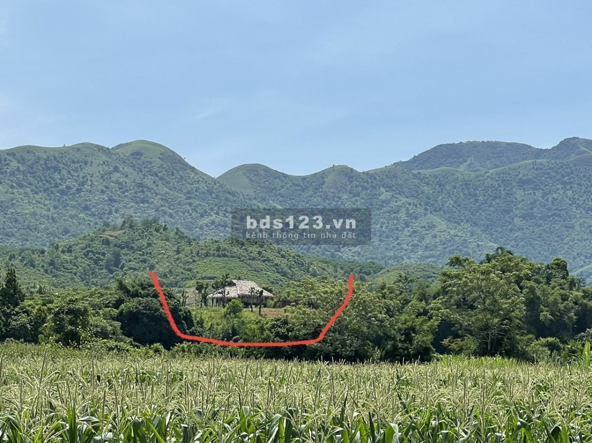 Cao Phong Hòa Bình dt 3000m/400m tc giá nhỉnh 2 tỷ, sẵn khuôn viên nhà sàn cây ăn quả 0982876689