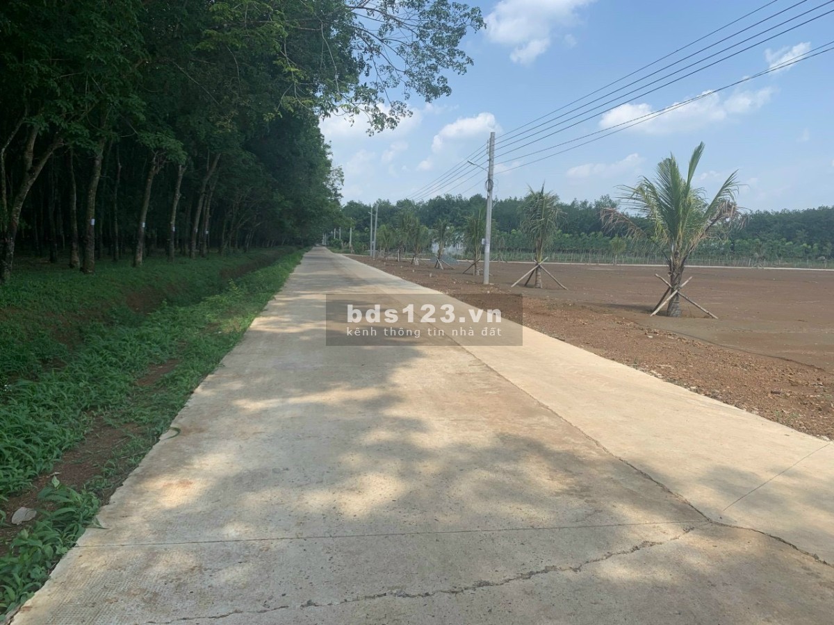 Đất Tân Quan Hớn Quản diện tích sử dụng 5x55x100TC sổ sẵn của Becamex