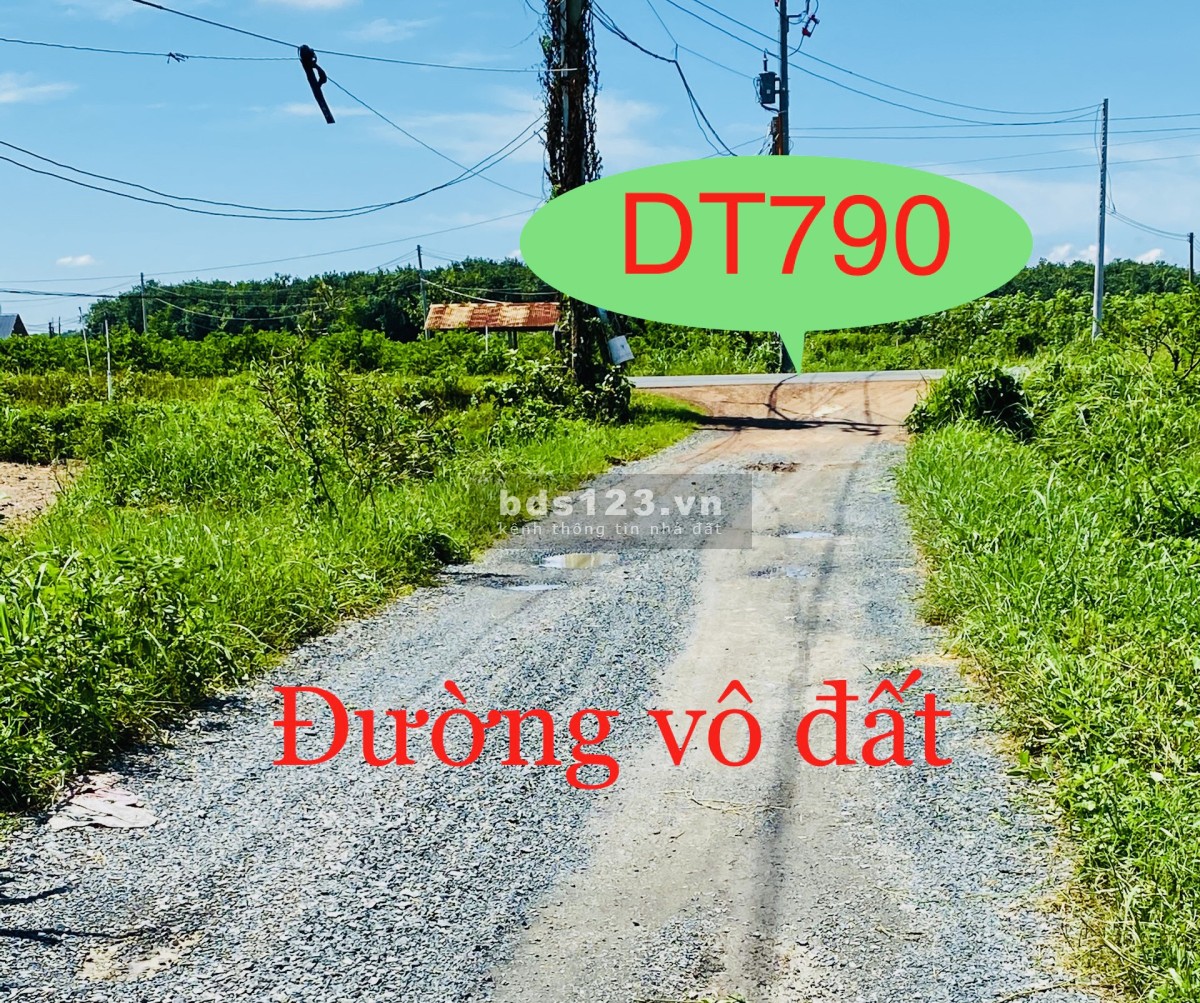 4000m2 đất view núi Bà, đất cao không khí trong lành, thích hợp trồng rau nuôi cá
