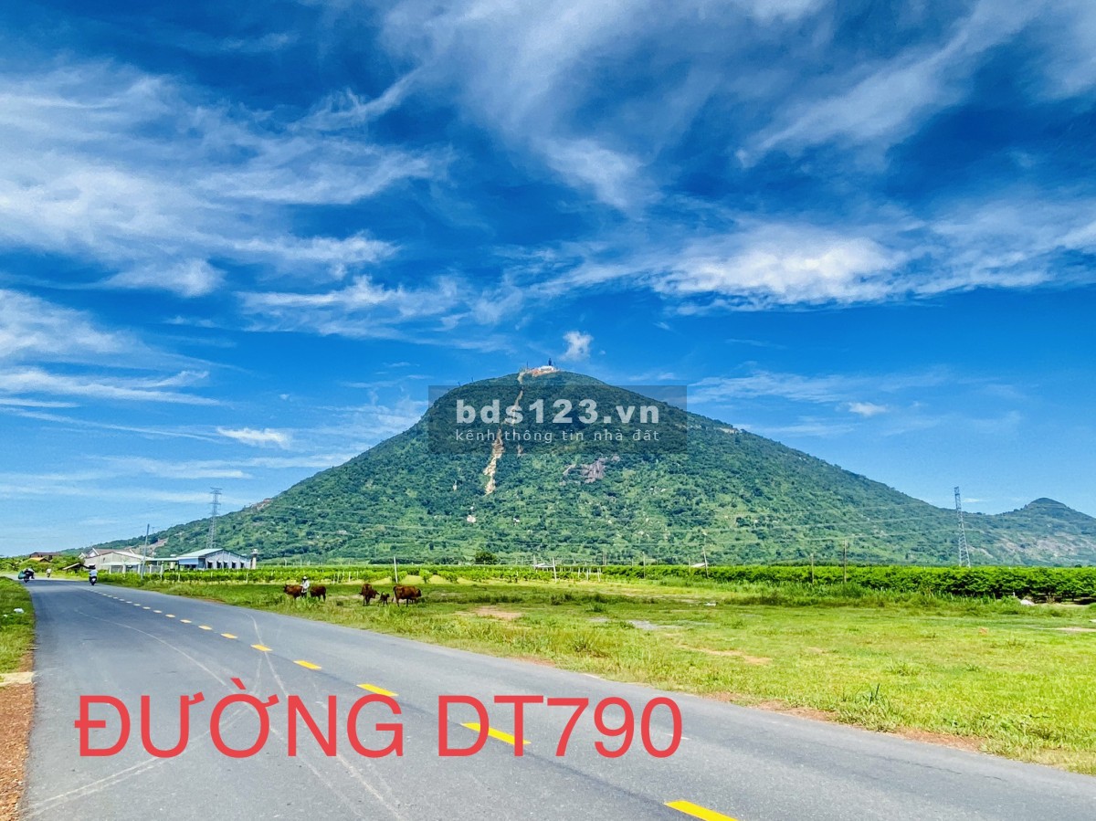 4000m2 đất view núi Bà, đất cao không khí trong lành, thích hợp trồng rau nuôi cá