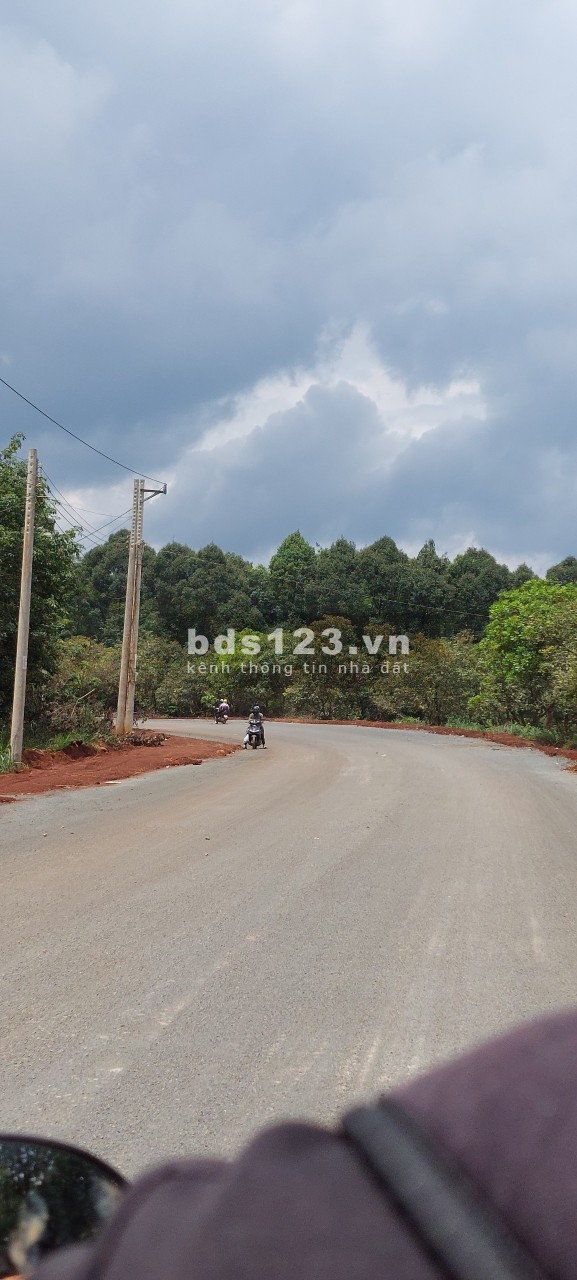 Đồng Phú - Bình Phước: bán gấp lô ngộp diện tích 1000m2 chỉ 460 triệu