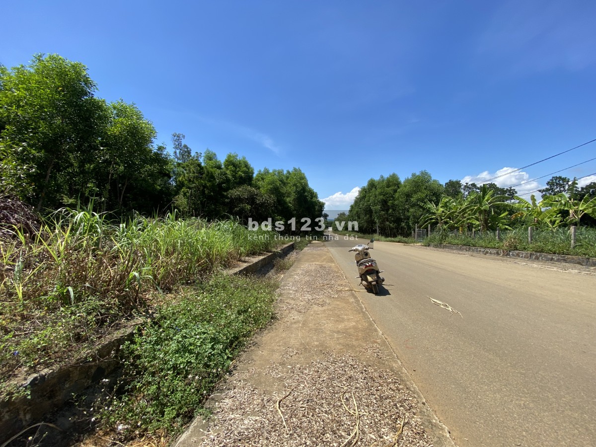 Bán gấp đất đường tuyến bắc nam, xã Bình Hải, huyện Bình Sơn, tỉnh Quảng Ngãi 410tr