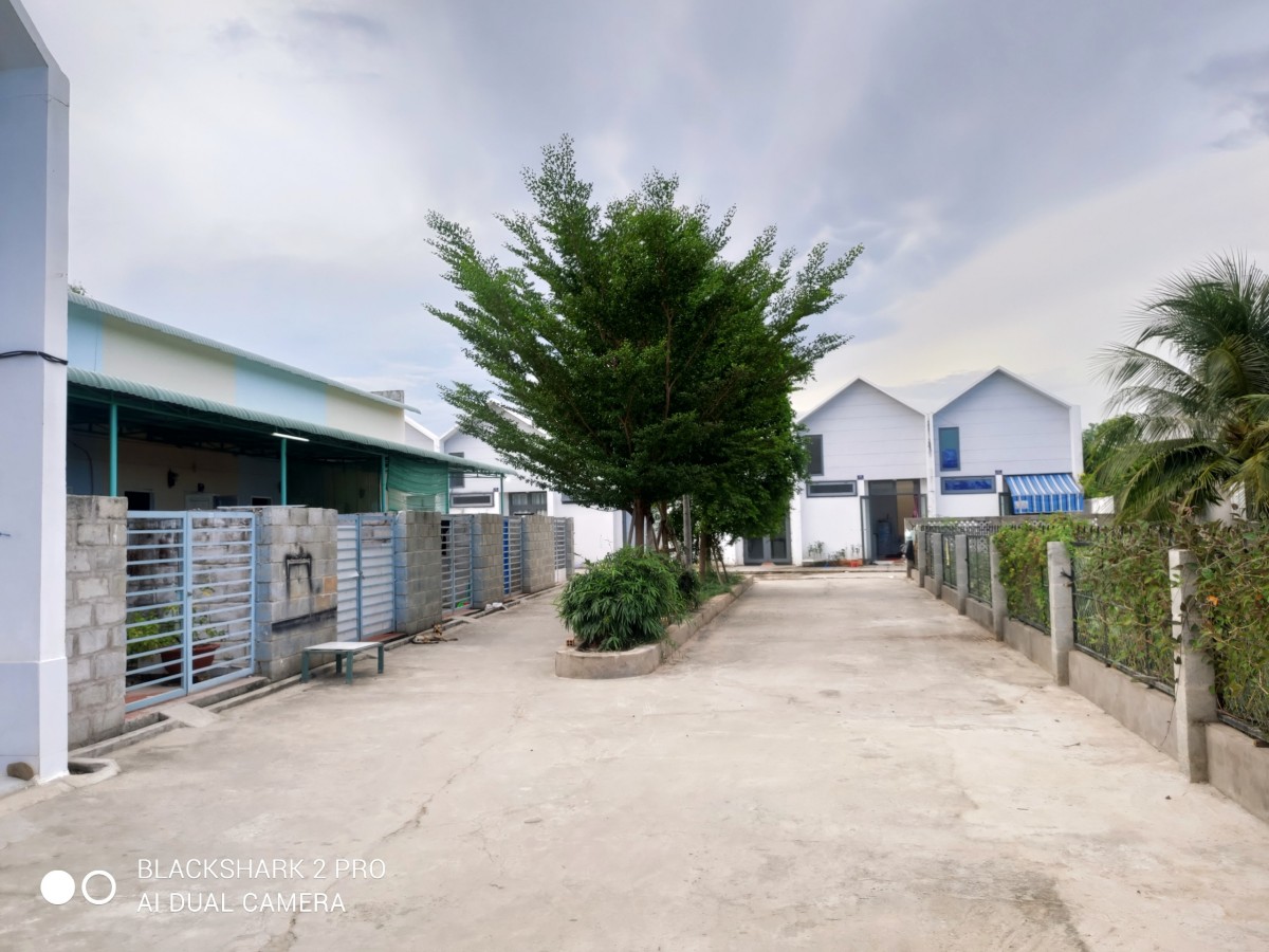 Cần bán dãy nhà trọ tại khu vực Hàm Thắng- Hàm Thuận Bắc- Bình Thuận cách trung tâm Phan Thiết