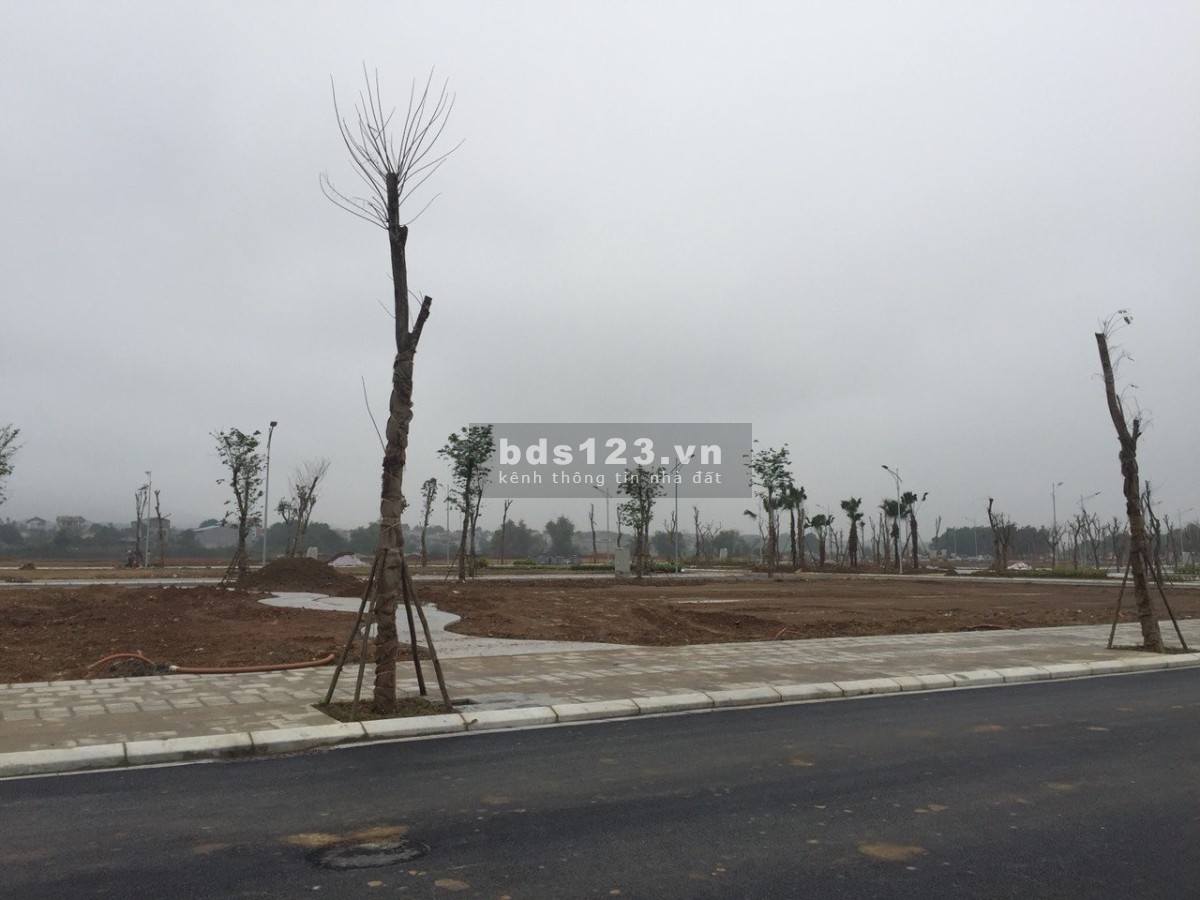4 lô Biệt thự Hoa Hậu tại dự án Riverview Lương Sơn. Giá đầu tư hấp dẫn
