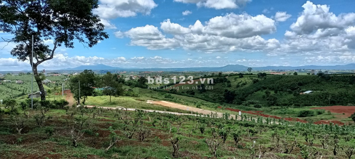 Đất full thổ Bảo Lộc, mặt tiền đường nhựa 9m giá đầu tư sinh lời cao