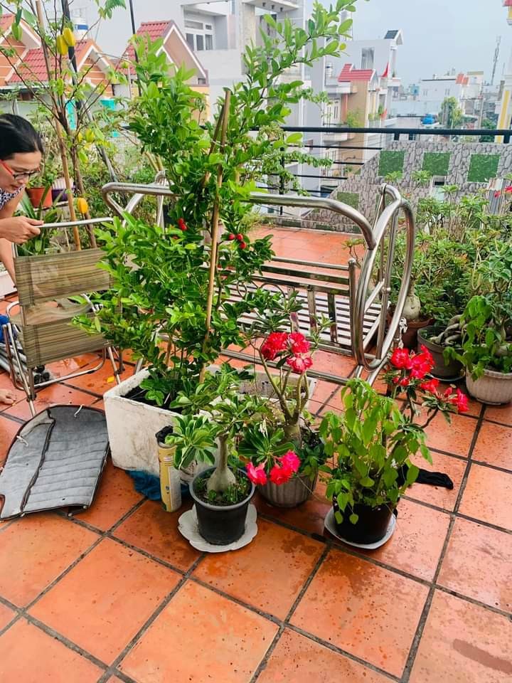 Bán gấp nhà Liên Khu 5-6 Bình Tân, xe tải tránh nhau 4 tầng đúc, khu biệt thự, dt 45m2