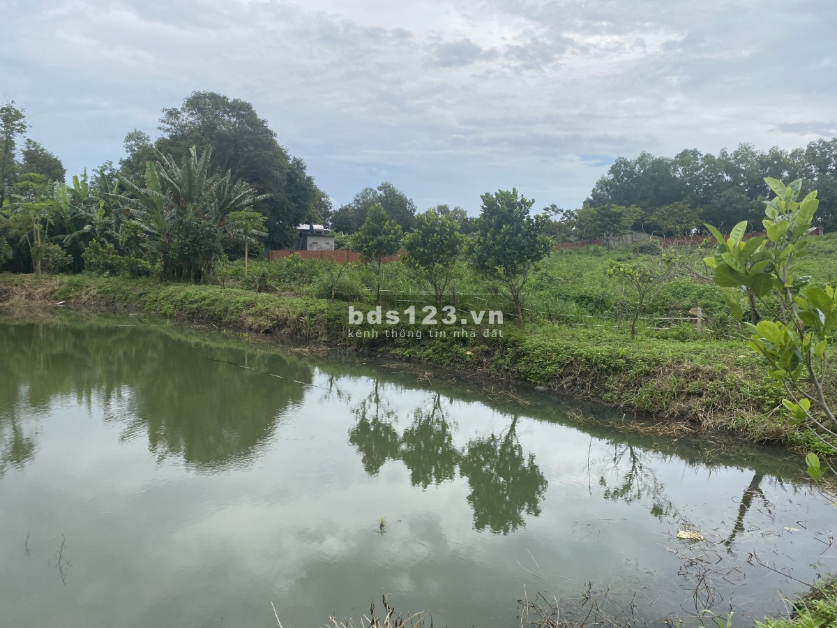 Đất 1109m2 Bàu Cạn, chỉ 2,5tr/m sẵn nhà vườn, ao cá, cách sân bay Long Thành 3km