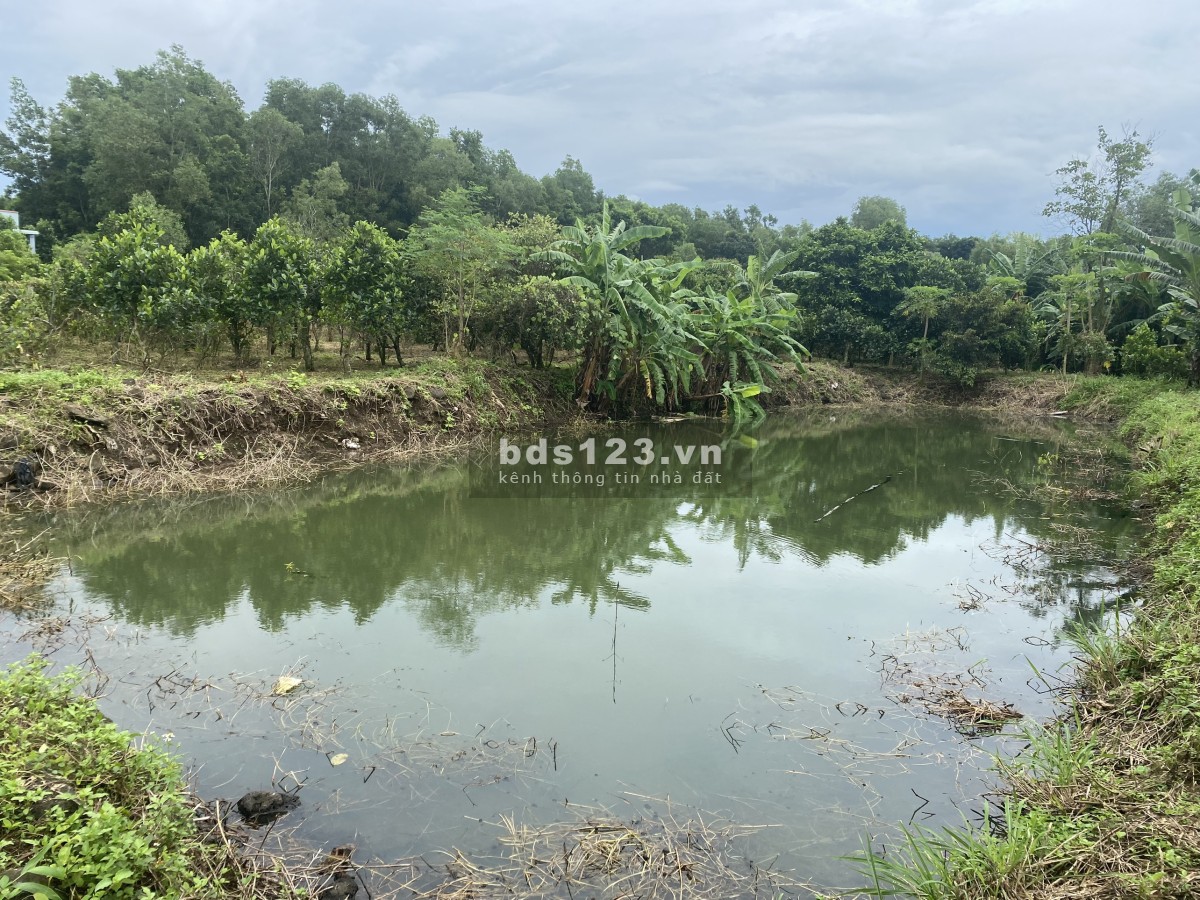 Đất 1109m2 Bàu Cạn, chỉ 2,5tr/m sẵn nhà vườn, ao cá, cách sân bay Long Thành 3km
