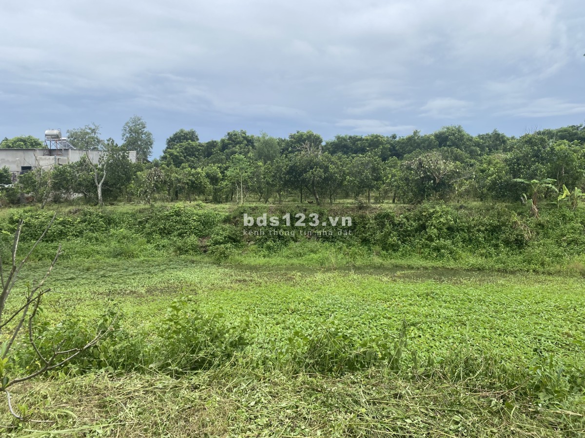 Đất 1109m2 Bàu Cạn, chỉ 2,5tr/m sẵn nhà vườn, ao cá, cách sân bay Long Thành 3km