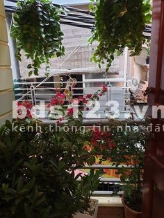 Nhà phố Mễ Trì ô tô đỗ cửa 20m ra phố kinh doanh nhỉnh giá chỉ 4 tỷ